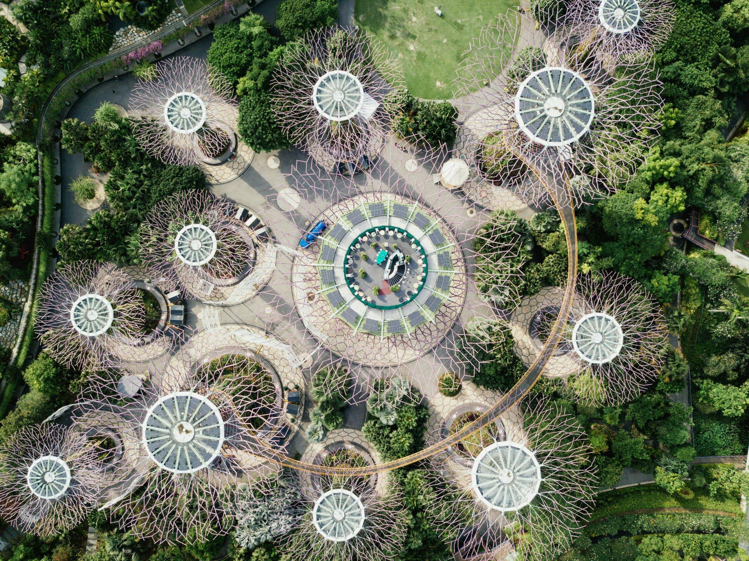 gouvernance-rse-arbres-cercles-vue-de-haut-haatch-scaled.jpg