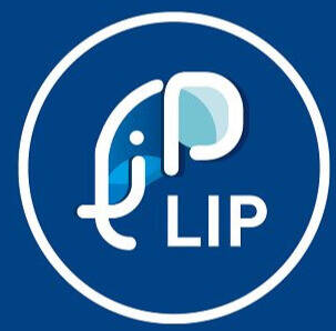 GROUPE LIP
