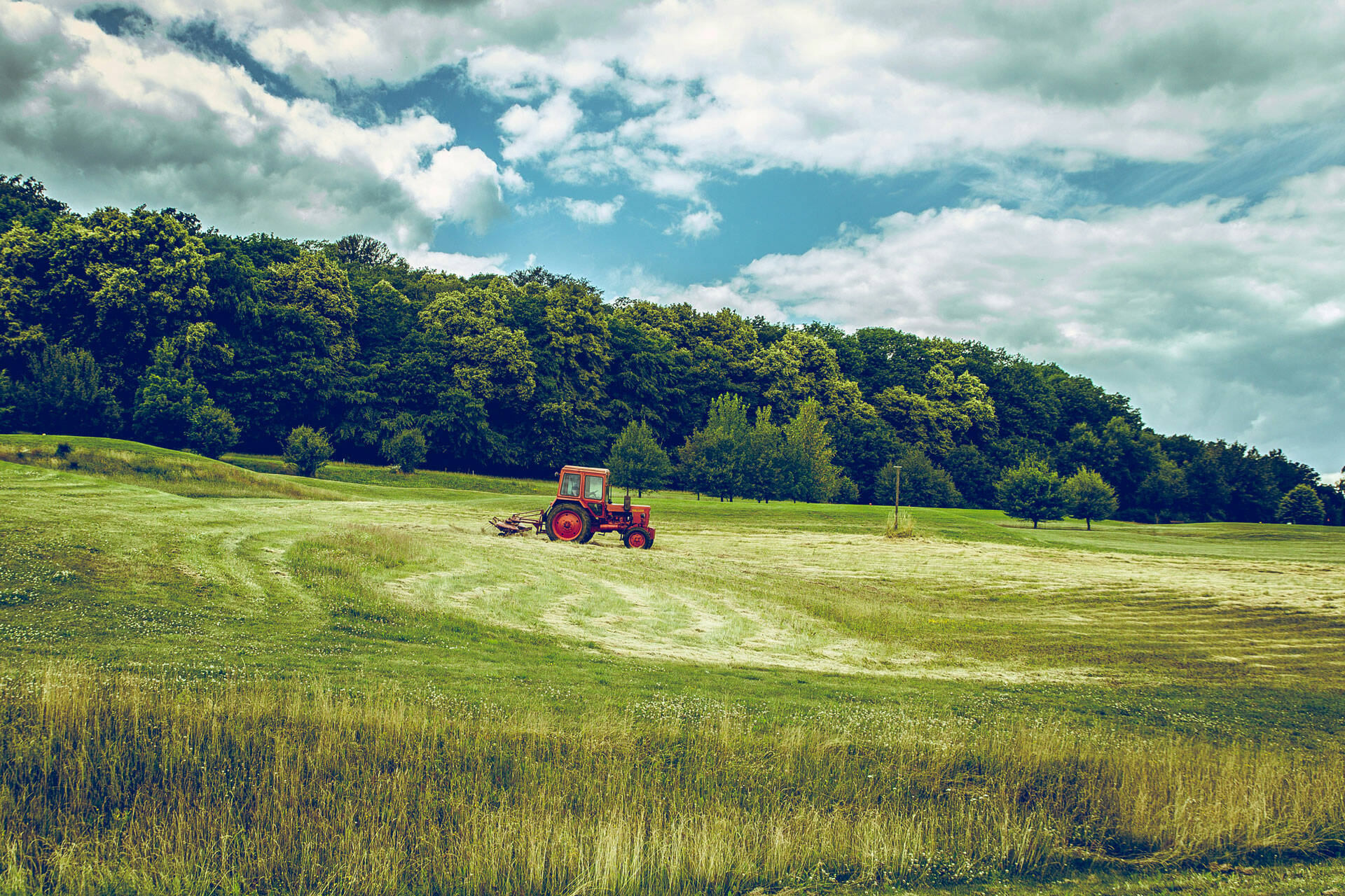 photo agriculture agroalimentaire champ tracteur