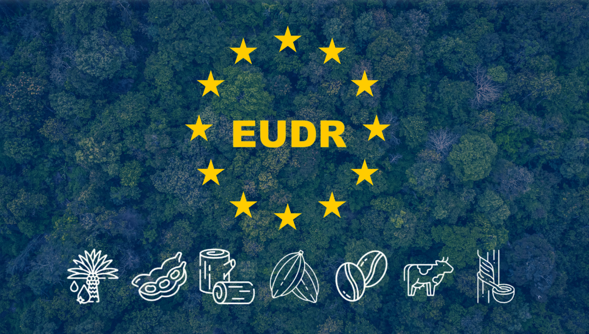 eudr-3.png