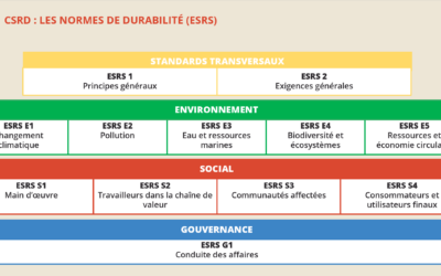 « CSRD is coming » (partie 2/2) – Comment expliquer simplement les ESRS à vos collègues ?